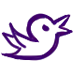 Twitter icon